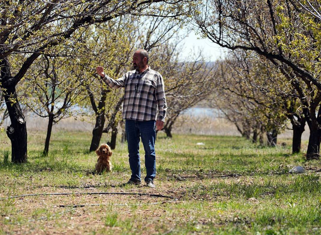 Tarımda tarihin en büyük felaketi yaşanıyor! Meyve, sebze fiyatlarında rekor artış yaşanacak 37